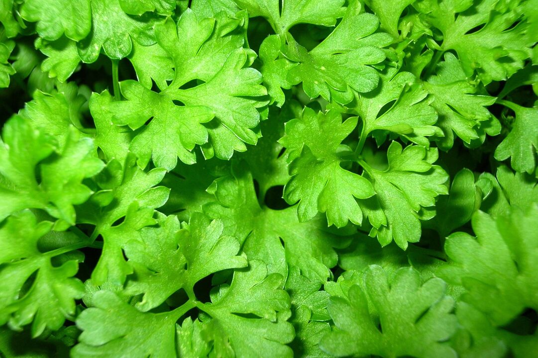 to increase the potency of parsley